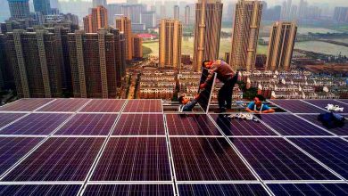 تصویر از اهداف کربن خنثی چین مشوق سرمایه گذاران انرژی های سبز است