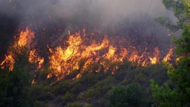 تصویر از آتش سوزی دوباره در ارسباران