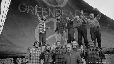 تصویر از عکس: صلح سبز ۵۰ ساله شد