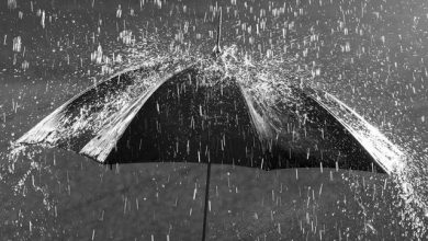 تصویر از کاهش 92 درصدی بارندگی در استان هرمزگان