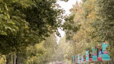 تصویر از تصمیم‌های مقطعی چاره آلودگی هوای تهران نیست