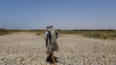 تصویر از مرگ تدریجی تالاب هورالعظیم