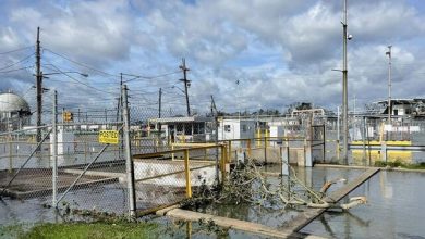 تصویر از ازسرگیری فعالیت پالایشگاهی و تولید نفت آمریکا پس از آیدا