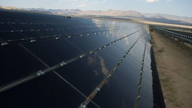 تصویر از بلاتکلیفی 30 درصد پروژه های خورشیدی آمریکا به دلیل تعرفه های پنل ها