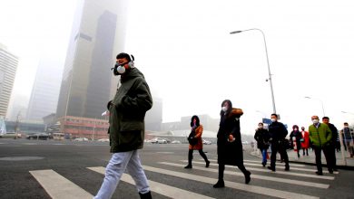تصویر از صلح سبز: زیرساخت های جدید چین به شدت انرژی بر هستند