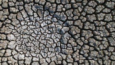 تصویر از درگیر شدن ۴۱.۴ درصد از مساحت حوضههای آبریز با خشکسالی