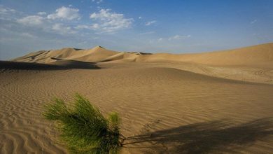تصویر از انرژی باد؛ سرمایه ای که در غرب خراسان هدر می رود