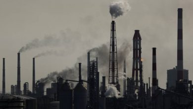 تصویر از کاهش قیمت نفت با برنامه چین برای افزایش تولید زغال سنگ