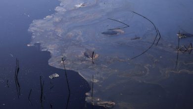 تصویر از تخلیه مقادیر زیادی فاضلاب نفتی آبادان به اروند رود