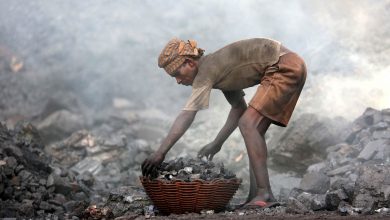 تصویر از هند ذخایر استراتژیک زغال سنگ و گاز می سازد