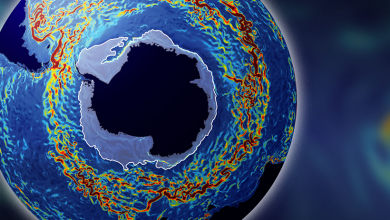 تصویر از تغییر سرعت قوی‌ترین جریان دریایی دنیا با تغییرات اقلیم