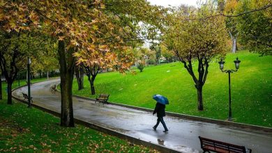 تصویر از ثبت 14 میلیمتری بارندگی در 45 روز اول سال آبی