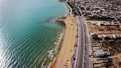 تصویر از تردد سالانه ۵۰ هزار فروند کشتی در بنادر ایران