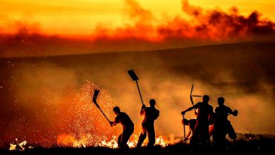 تصویر از برای مقابله با اثرات فاجعه بار تغییرات اقلیم از چه مناطقی باید محافظت کرد؟