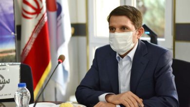 تصویر از یک مسئول: پتانسیلهای پتروشیمی لامرد و مهر بررسی میشود