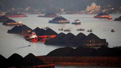 تصویر از آغاز دوباره صادرات زغال سنگ اندونزی به زودی