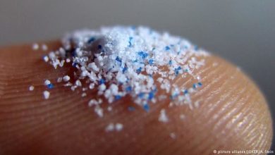 تصویر از نانوپلاستیک‌های غبارهای تایر خودروها در قطب شمال و جنوب دیده شدند