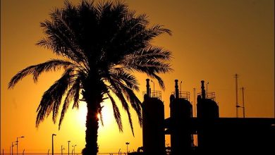 تصویر از یک کارشناس: تعارض منافع ذات اقتصاد ذینفعانه است!