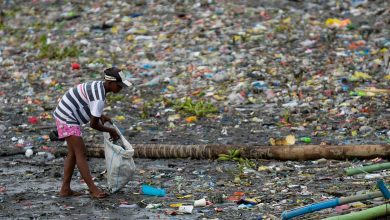 تصویر از یک تحقیق جدید: 71 درصد مردم خواهان ممنوعیت پلاستیک یکبار مصرف هستند