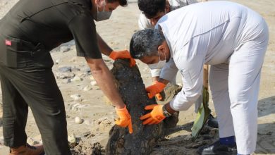 تصویر از جمع‌آوری و پاکسازی آلودگی نفتی ساحل بوشهر + تصاویر