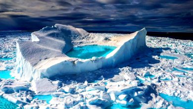 تصویر از قطب شمال غرق در زباله پلاستیکی است