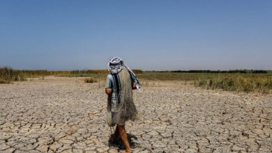 تصویر از ۶۴ درصد از حجم مفید مخازن سدهای خوزستان خالی است