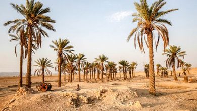 تصویر از مرگ خاموش ذخایر نامرئی آب/ متوجه عمق فاجعه نیستیم