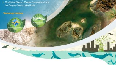 تصویر از کارگاه آموزشی مدل‌های شبیه‌سازی محیط زیستی دریاچه ارومیه برگزار می‌شود