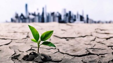 تصویر از نسخه اقتصادی بحران آب