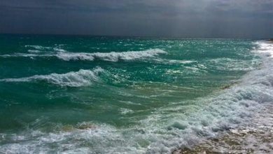 تصویر از امروز و فردا آبهای جنوب کشور مواج و متلاطم است