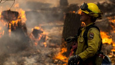 تصویر از وقوع آتش‌سوزی‌های غیرعادی در جنگل‌های کالیفرنیا