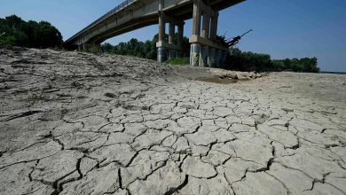 تصویر از اعلام وضعیت اضطراری و بودجه 36.5 میلیون یورویی در ایتالیا به دلیل خشکسالی
