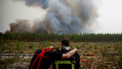تصویر از عکس: آتش سوزی مهیب در جنگل های فرانسه به دلیل خشکسالی