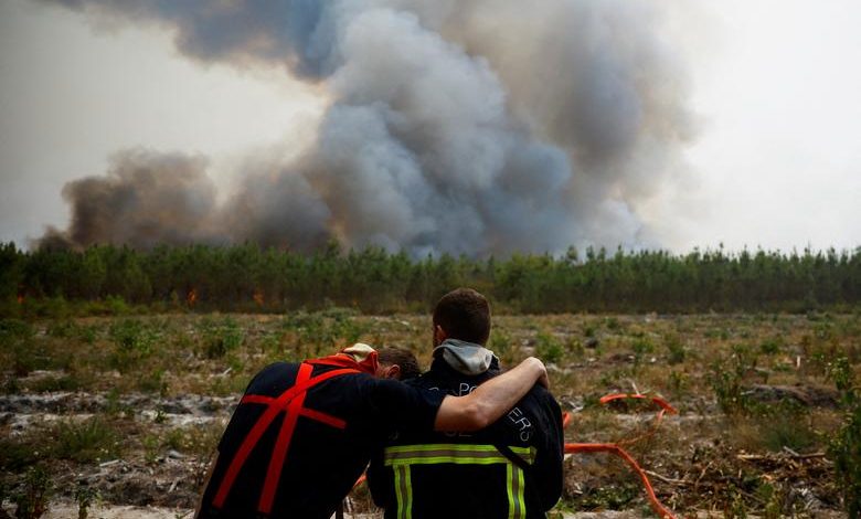 تصویر از عکس: آتش سوزی مهیب در جنگل های فرانسه به دلیل خشکسالی