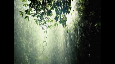 تصویر از پیش بینی افزایش شدت ناپایداری جوی آخر هفته در جنوب ایران