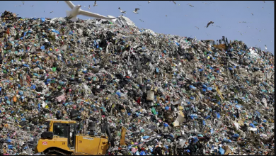 تصویر از جستجوی ۸ هزار بیت‌کوین در میان هزاران تن زباله