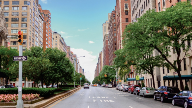 تصویر از تغییرات اقلیمی، سلامت درختان شهری را به خطر میاندازد