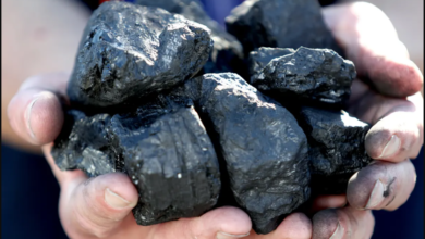 تصویر از ذوب آهن: چرا هنوز هم در تامین زغال سنگ مشکل داریم