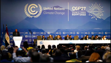 تصویر از کنفرانس جهانی آب و هوای COP27 به میزبانی مصر آغاز شد