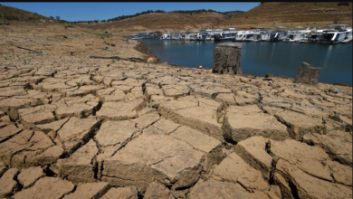تصویر از دیتاسنترهای مایکروسافت و متا با خشکسالی چه خواهند کرد؟