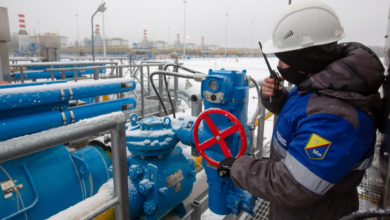 تصویر از روسیه خواهان تشکیل اتحادیه گازی با قزاقستان و ازبکستان است