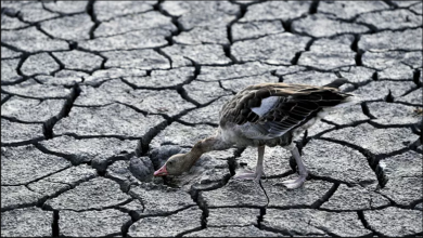 تصویر از اقلیم شناسان: سیل و خشکسالی رابطه‌ مستقیم با گرم شدن زمین دارد