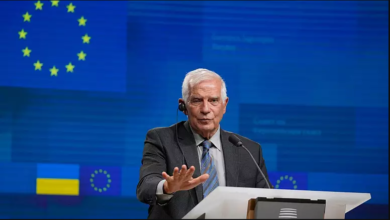 تصویر از بورل: اتحادیه اروپا به کار با پکن در حل مسائل جهانی نیاز دارد