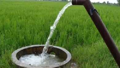 تصویر از راندمان مصرف آب کشاورزی ایران ۴۰ درصد و در همسایه‌ها 60درصد است