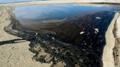 تصویر از جزییاتی از نشت نفت در ساحل گناوه