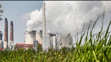 تصویر از آژانس بین‌المللی انرژی: زمان هدفگذاری‌ برای به صفر رساندن انتشار کربن باید تغییر کند