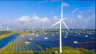 تصویر از سریع‌ترین رشد انرژی‌های تجدیدپذیر در 5 سال آینده رقم می‌خورد
