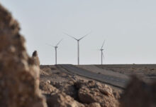 تصویر از نیروگاه بادی میل نادر زابل رکورد جدیدی در تولید انرژی تجدیدپذیر ثبت کرد