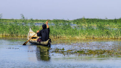 تصویر از تالاب‏‌ها محرمانه شدند