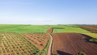 تصویر از ۶۰ درصد اراضی کشاورزی به سامانه‌های نوین آبیاری مجهز نیستند